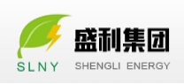 shengli batería portátil de iones de litio