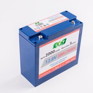 ESG is one of the Top 100 lithium ion battery manufacturers in China and this their battery product