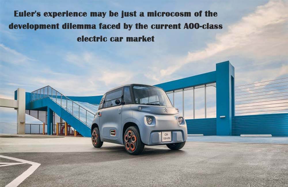 La experiencia de Euler puede ser sólo un microcosmos del dilema de desarrollo al que se enfrenta el actual mercado de coches eléctricos de clase A00