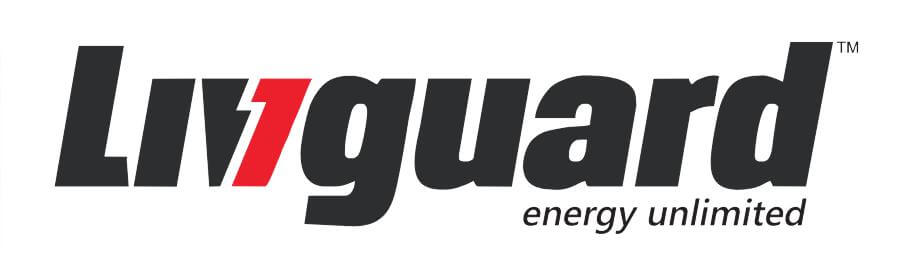 Livguard es uno de los 10 principales fabricantes de baterías de iones de litio de la India en 2022