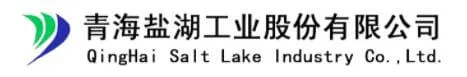 Salt Lake est l'une des 10 premières entreprises de sel de lithium en Chine.