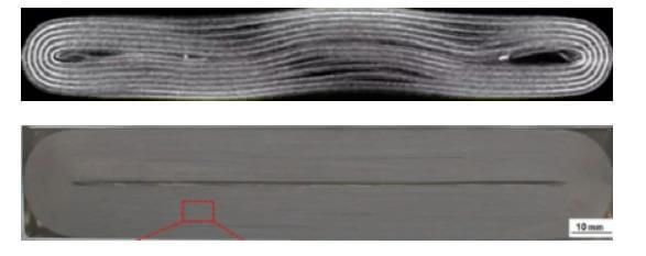 Cross-sectional morphologies of loose cores and dense cores