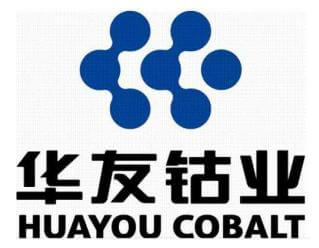 HUAYOU is one of top 5 Cobalt salt resources companies in China