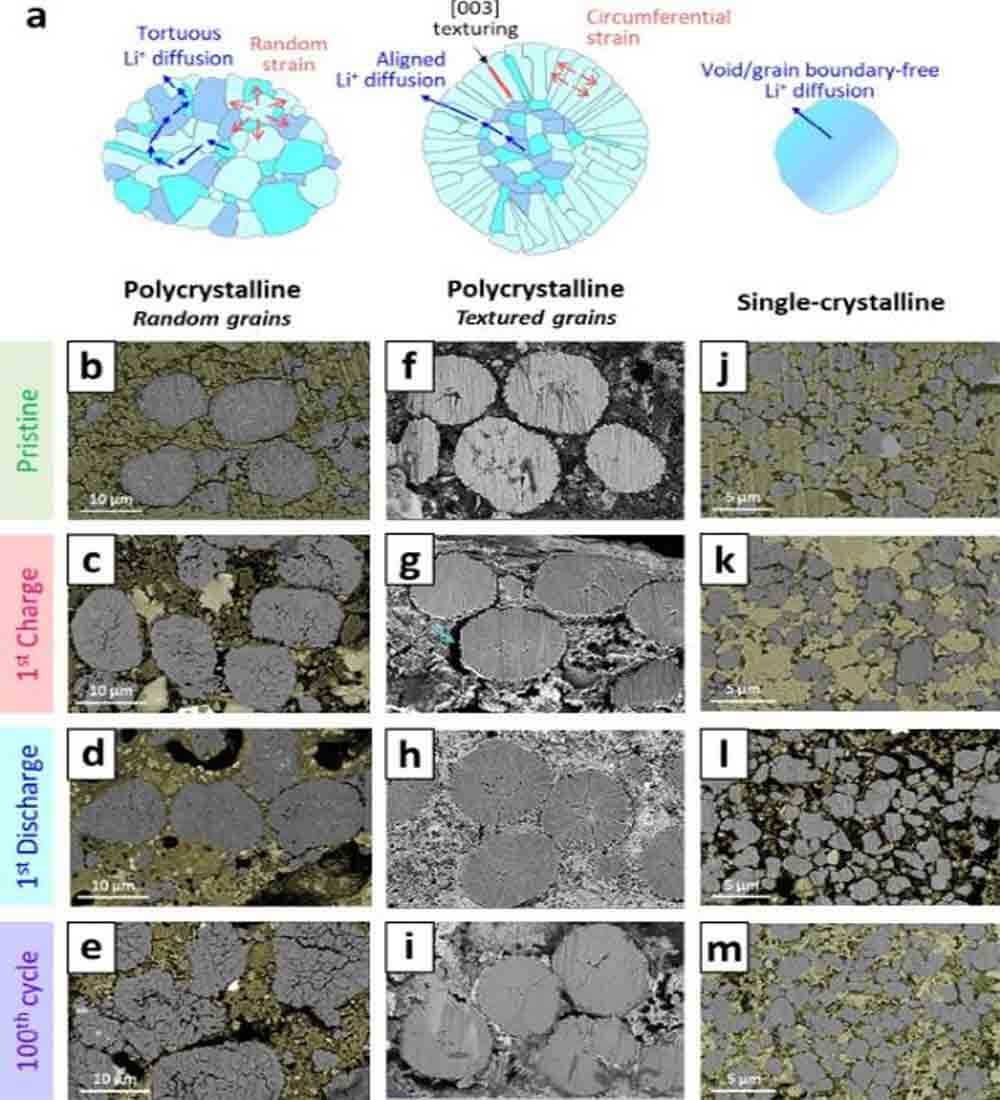Schematic representation of the microstructural morphology
