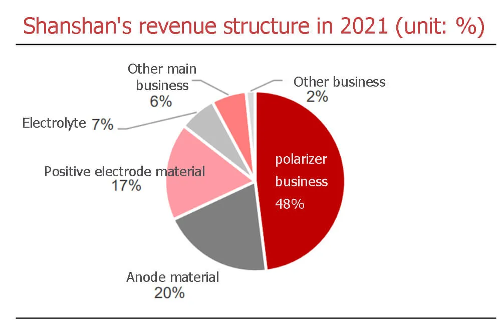 Shanshan's revenue structure in 2021