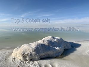 Las 5 mayores empresas de recursos de sal de cobalto de China