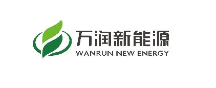 WANRUN es una de las 5 principales empresas de materiales catódicos de fosfato de hierro y litio