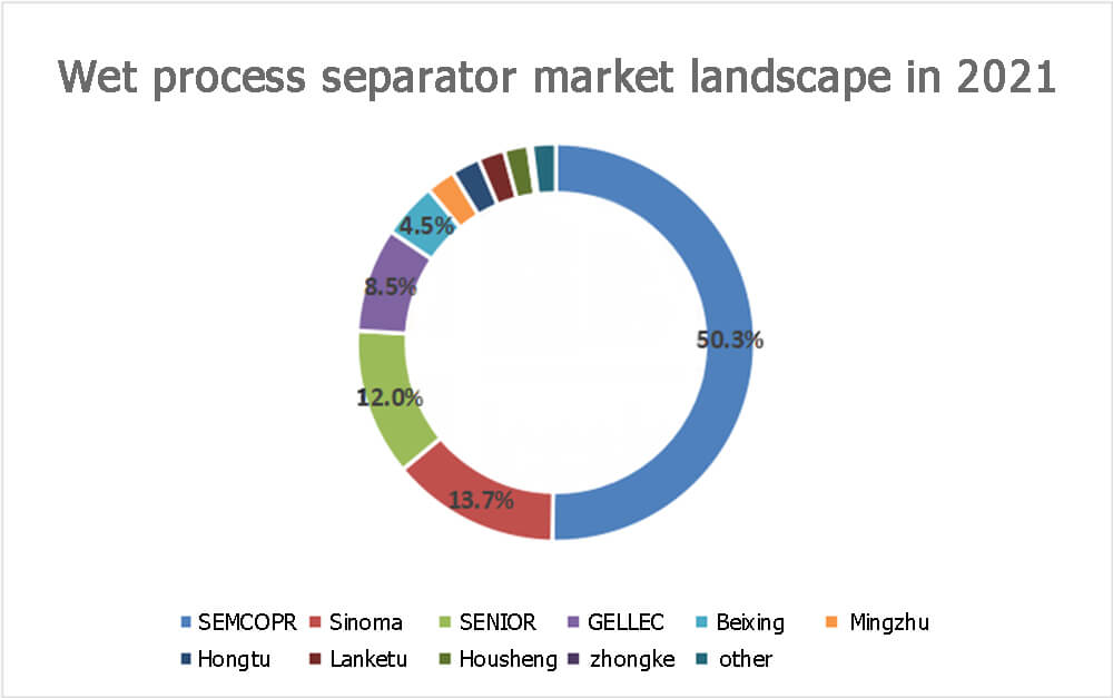 Wet process separator market landscape in 2021