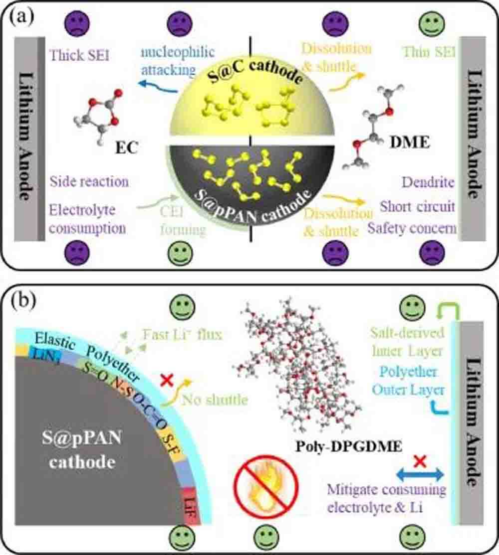 Schematic comparison of electrolytes for lithium sulfur batteries