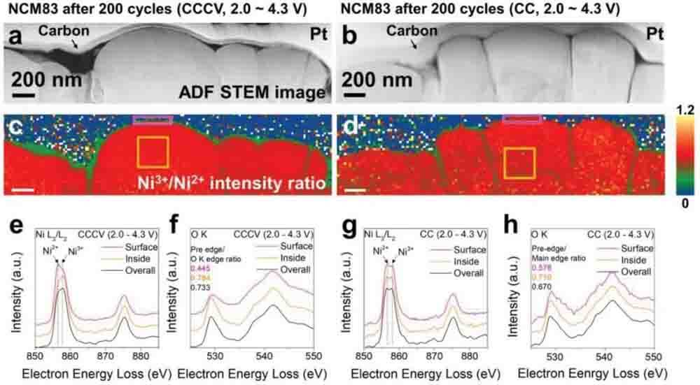 ADF-STEM images of NCM83 (CCCV)