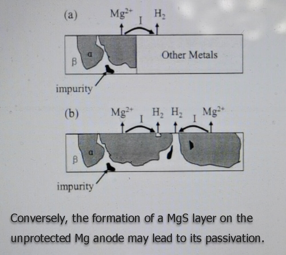 Inversement, la formation d'une couche de MgS sur l'anode de Mg non protégée peut conduire à sa passivation