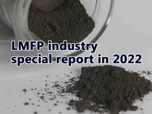 Rapport spécial sur l'industrie des PFME en 2022