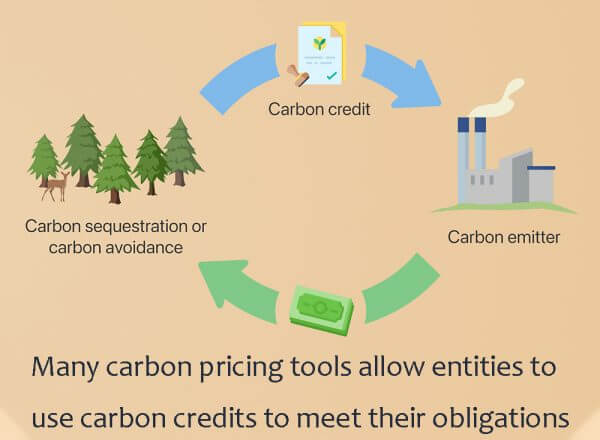 The race for carbon pricing among firms - ScienceDirect