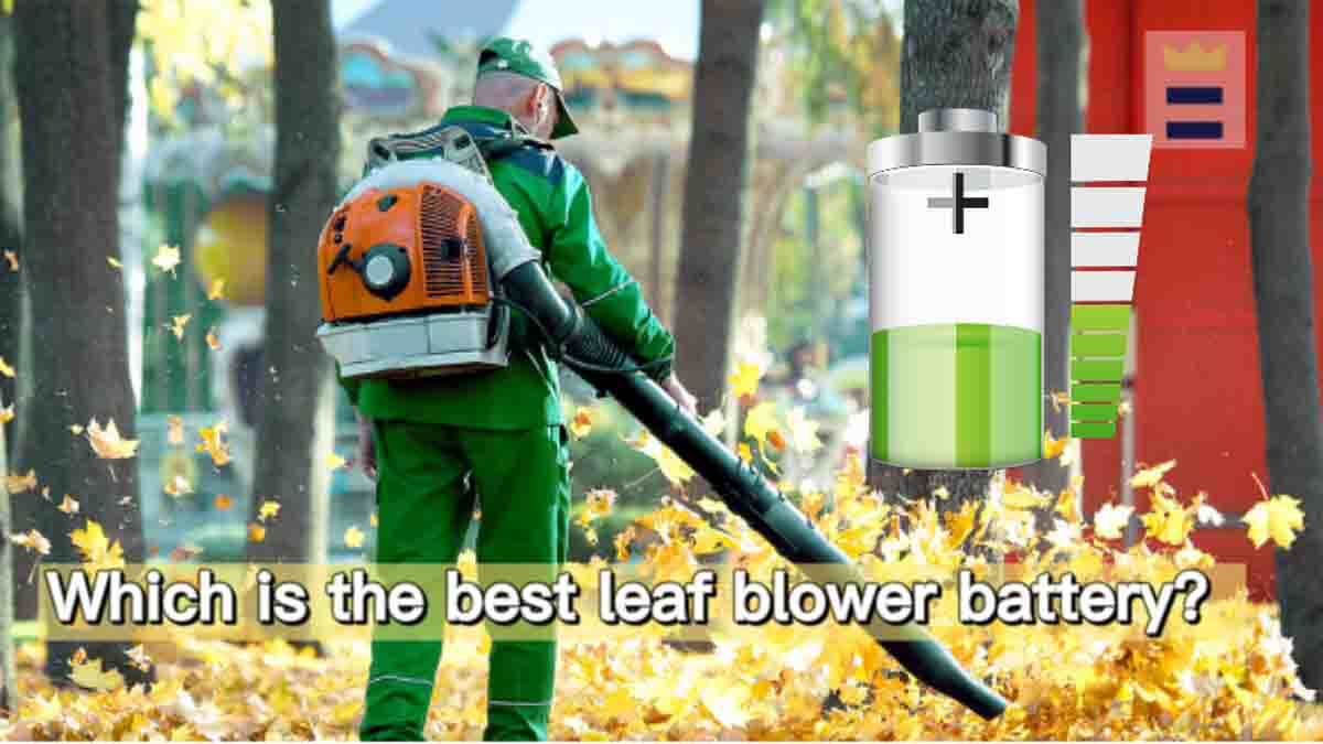 Which is the best leaf blower battery