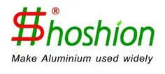 Hoshion, entre los 10 mejores fabricantes de baterías para vehículos eléctricos