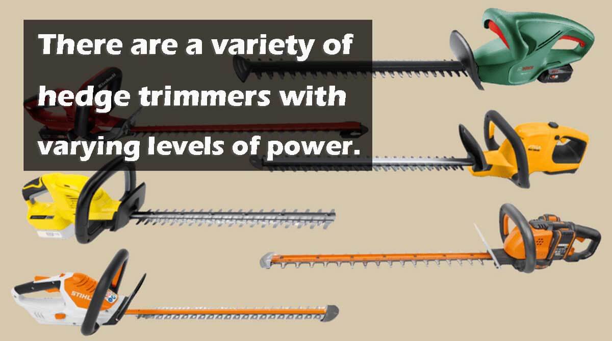 There are a variety of hedge trimmers with varying levels of power