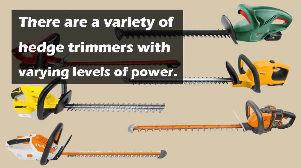 There are a variety of hedge trimmers with varying levels of power