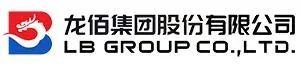 El grupo LB es una de las 10 principales empresas del sector de las pilas de vanadio en China en 2022