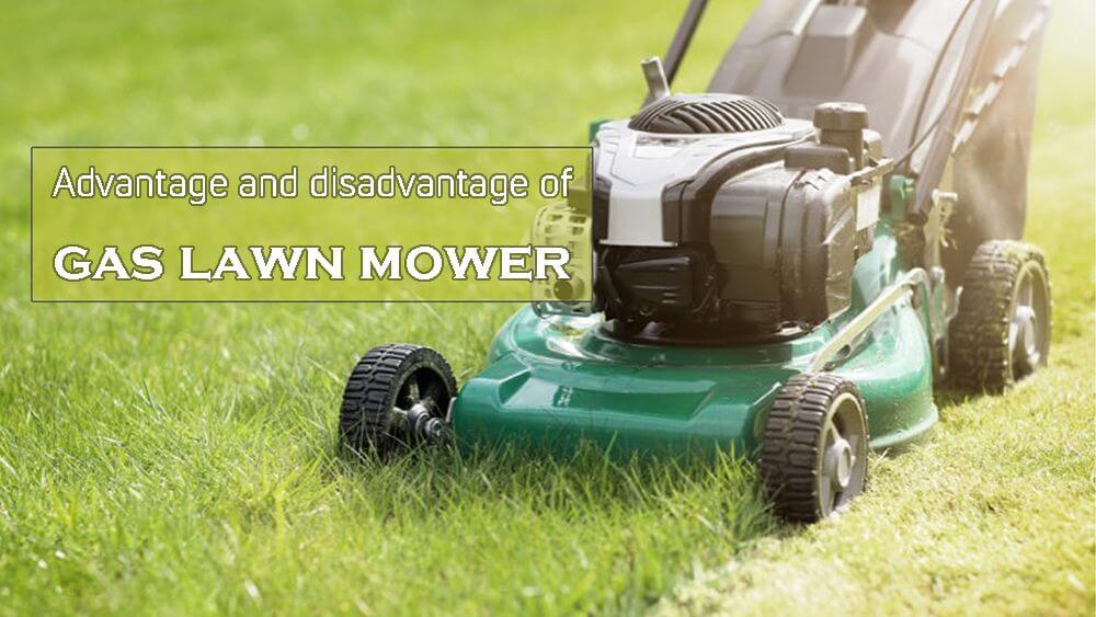 Advantage and disadvantage of gas lawn mower