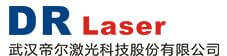 DR laser est l'un des 10 premiers fabricants de cellules solaires IBC en Chine