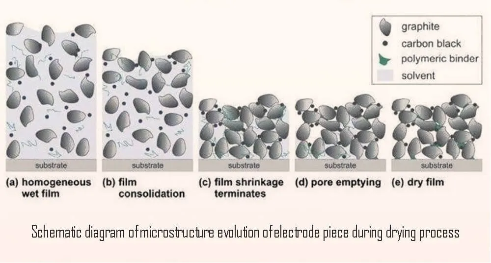 Schematic diagram of microstructure evolution of electrode piece during drying process