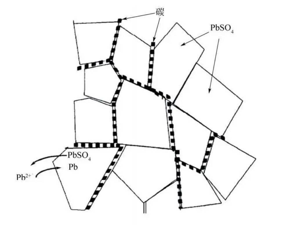 Schéma du réseau conducteur en carbone de la plaque négative de la batterie plomb-carbone