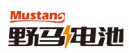Mustang is one of the top 10 zinc manganese battery manufacturers in the world