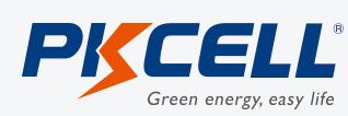 PK Cell est l'un des 10 premiers fabricants mondiaux de piles au zinc-carbone.