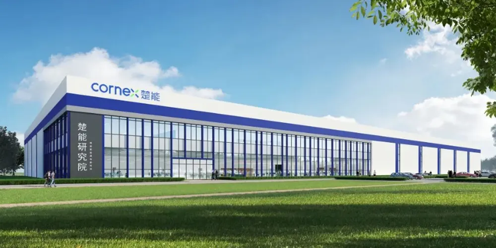 Empresa CORNEX