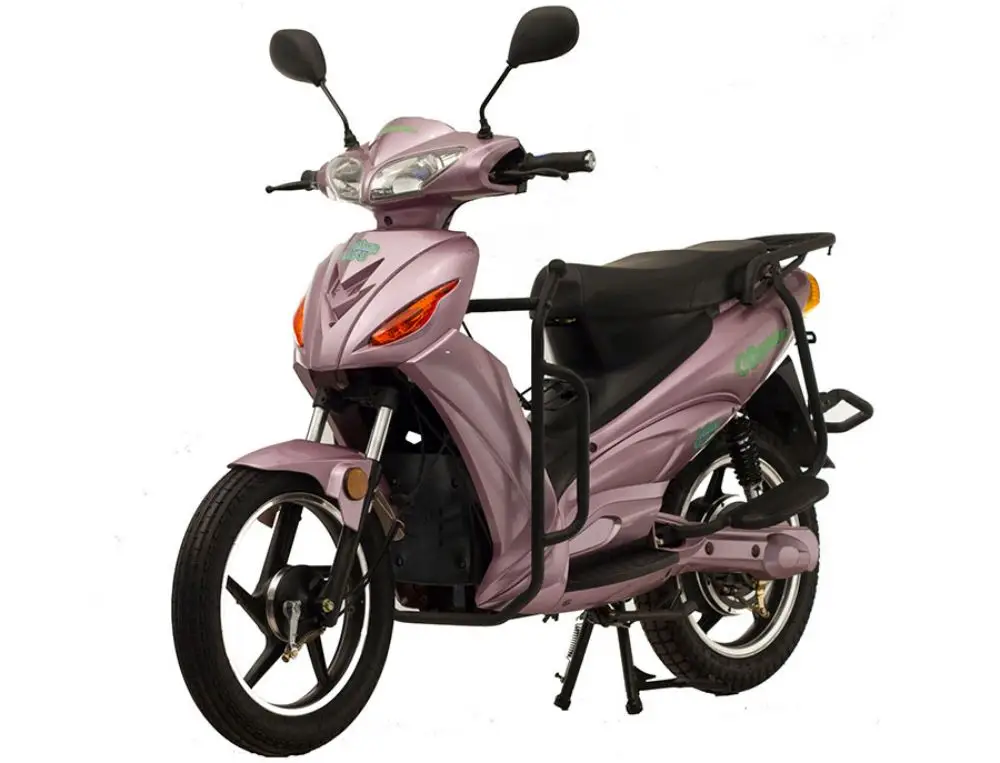 GogreenBOV échange de batterie ebike
