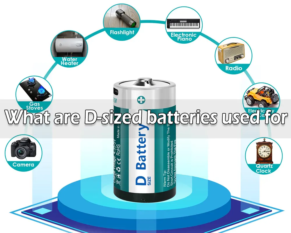 What are D-sized batteries used for