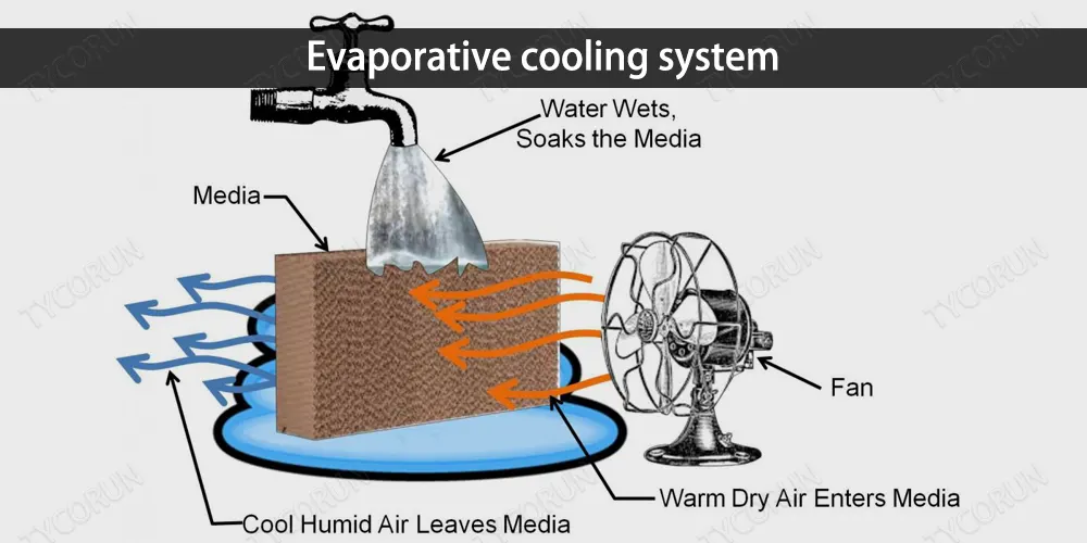 EV cooling system classification and future development trends TYCORUN