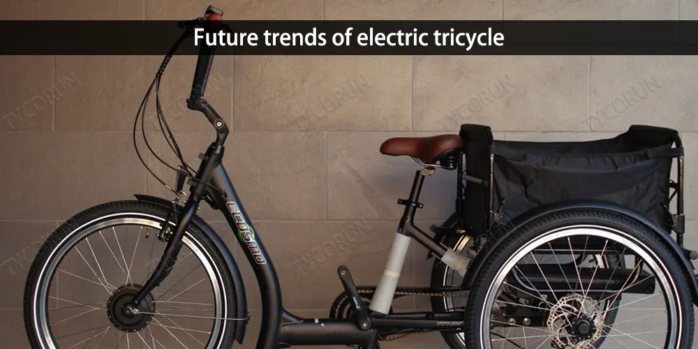 Future trends of electric tricycle