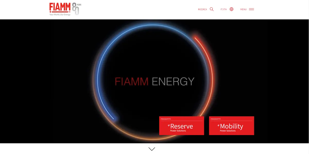 Fiamm-website