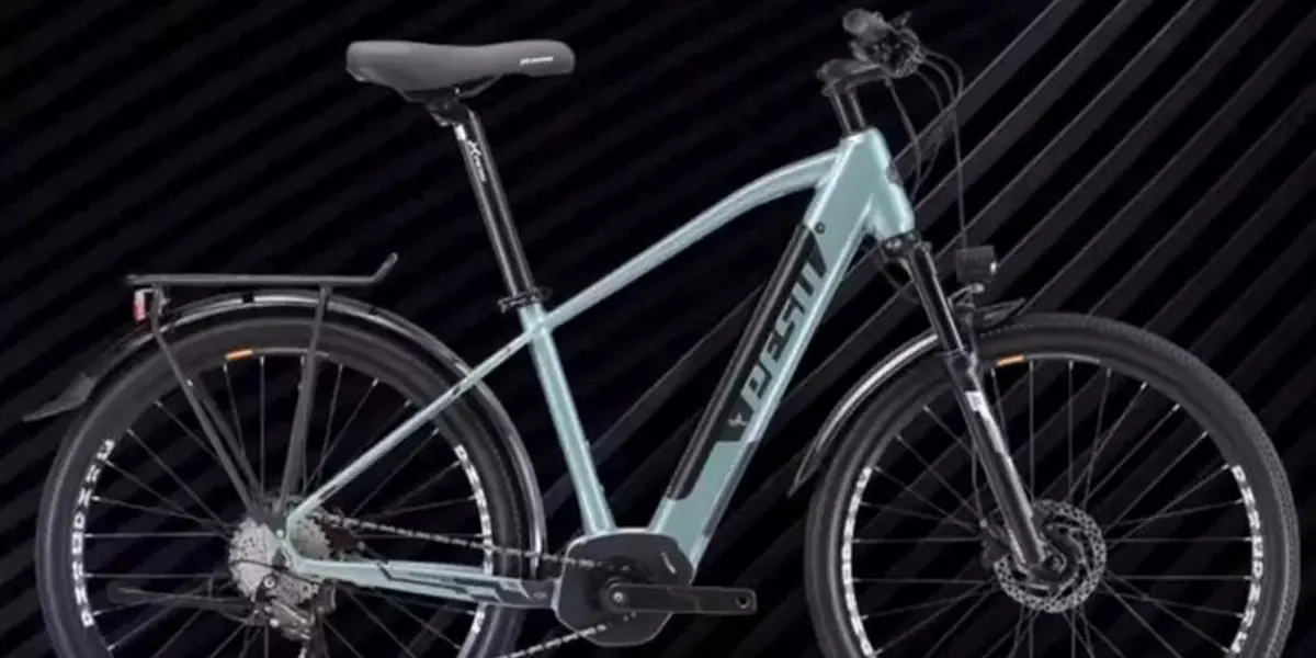 PESU Blue Bird Classic Edition
