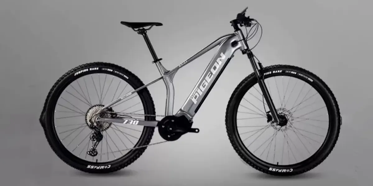 PIGEON TX21