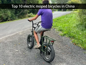 Top 10 electric moped bicycles in China