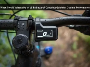 What Should Voltage Be on eBike Battery Complete Guide for Optimal Performance